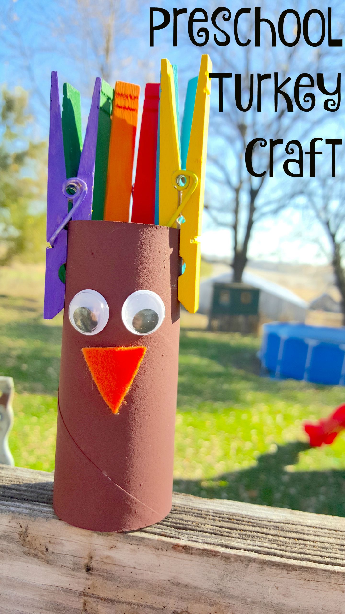 Craft For Preschoolers
 Creative Turkey Toilet Paper Tube Preschool Craft