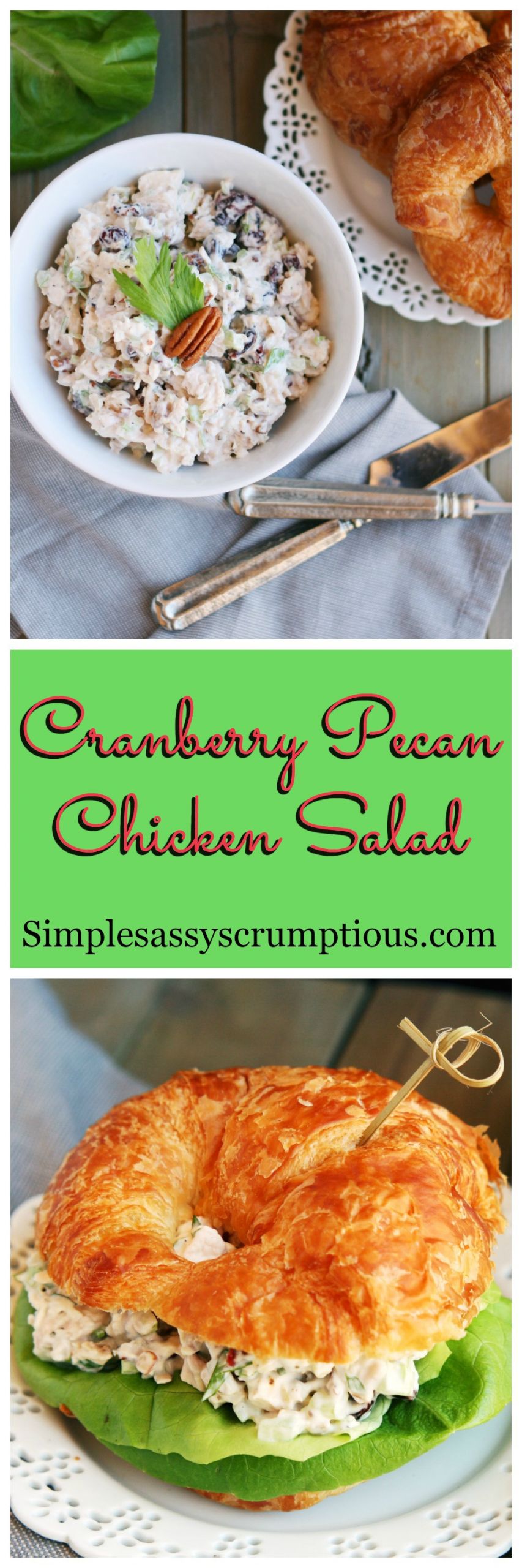 Cranberry Chicken Salad
 Cranberry Pecan Chicken Salad Simple Sassy and Scrumptious
