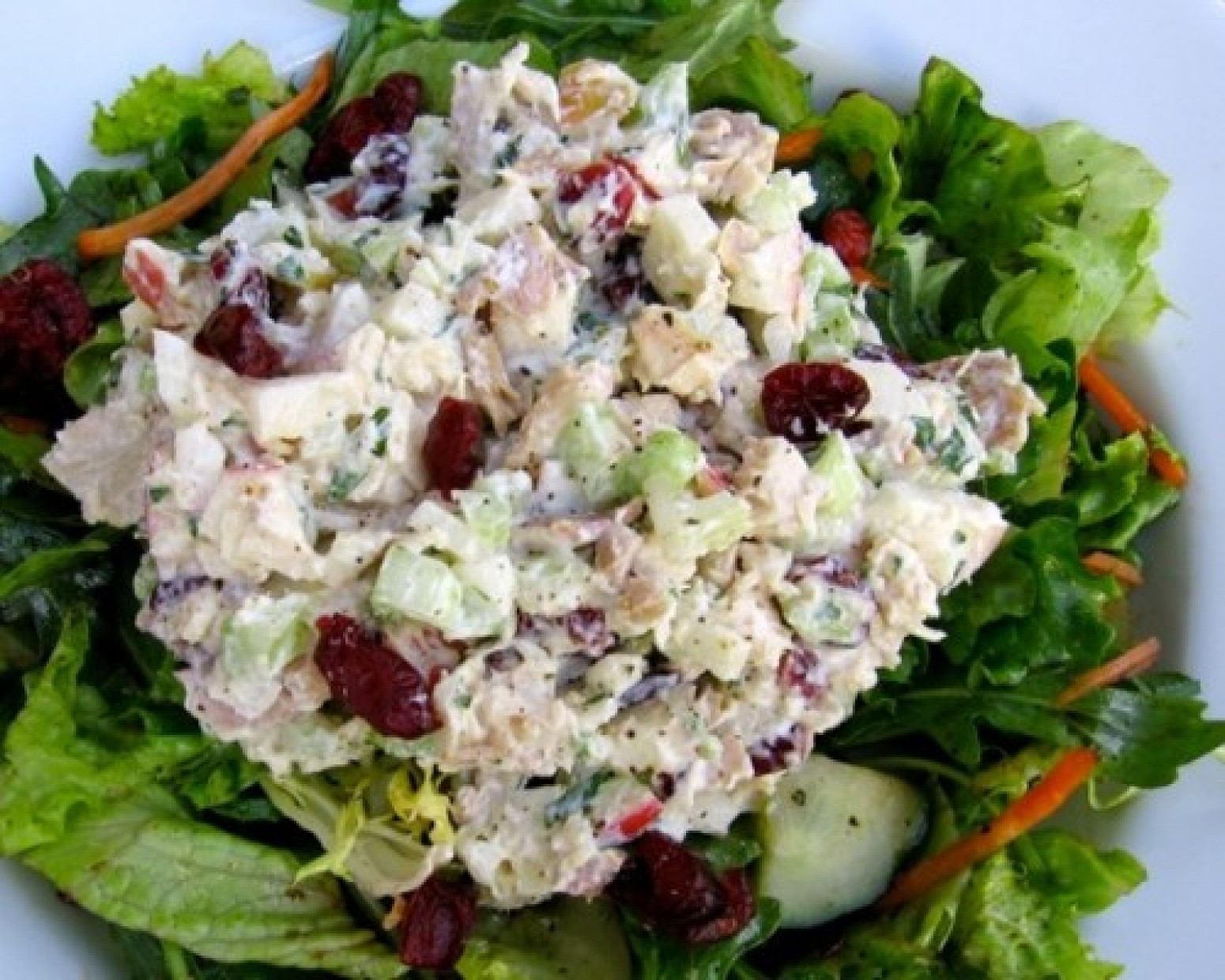 Cranberry Chicken Salad
 Healthy Chicken Salad with Apples & Cranberries Recipe