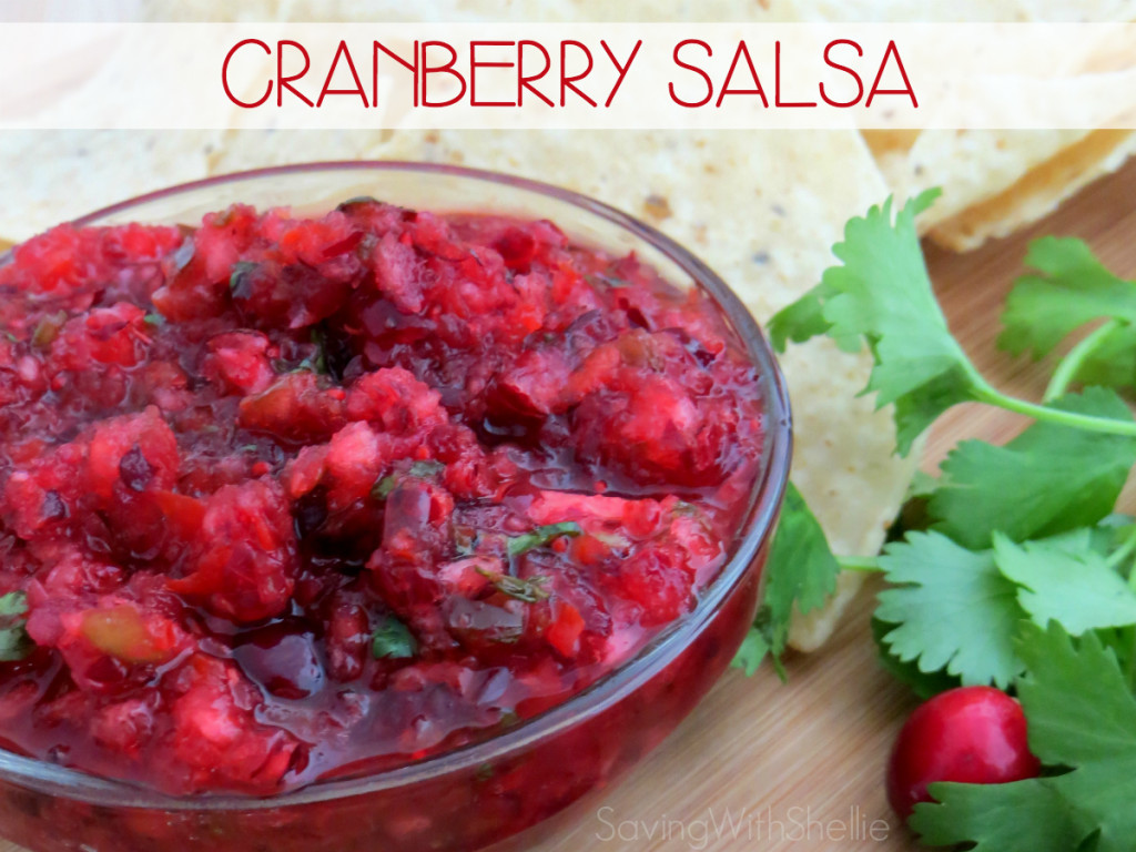 Cranberry Salsa Recipes
 Homemade Fresh Cranberry Salsa Recipe