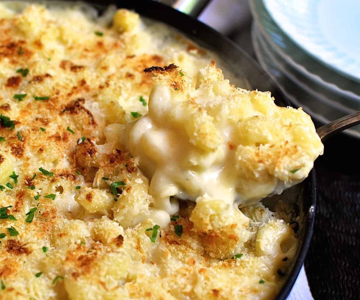 Creamy Baked Macaroni And Cheese Recipe
 e Pot Saucy Creamy Mac and Cheese