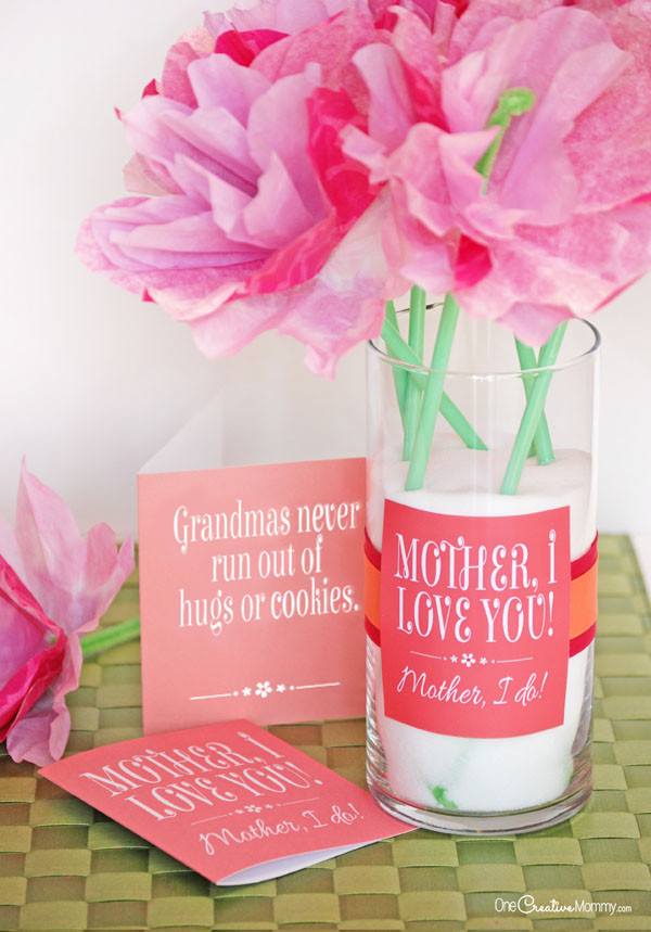 Creative Mother Day Gift Ideas
 Cute Mother s Day Gift Idea and Printables