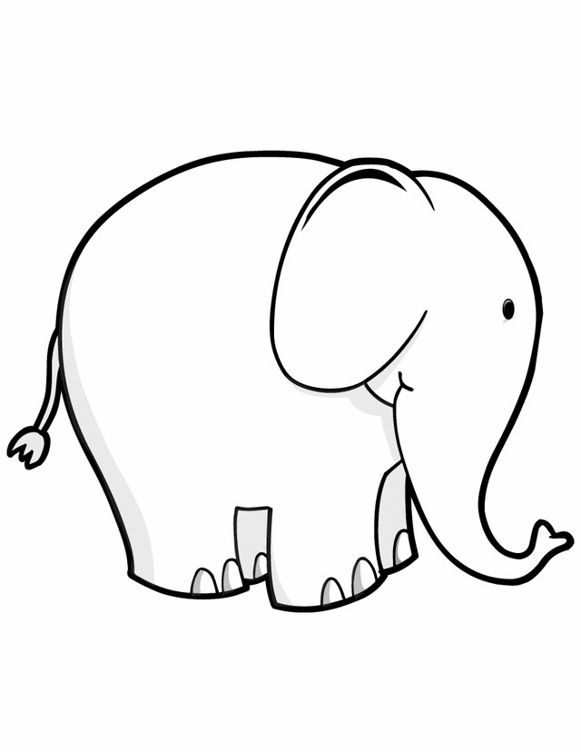 Cute Baby Elephant Coloring Pages
 Fun Learning with Baby Elephant Coloring Pages Best DIY