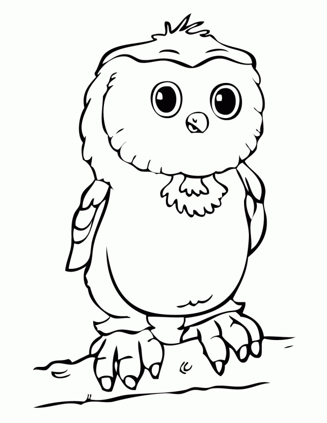 Cute Baby Owl Coloring Pages
 Baby Owl Branch Coloring Page