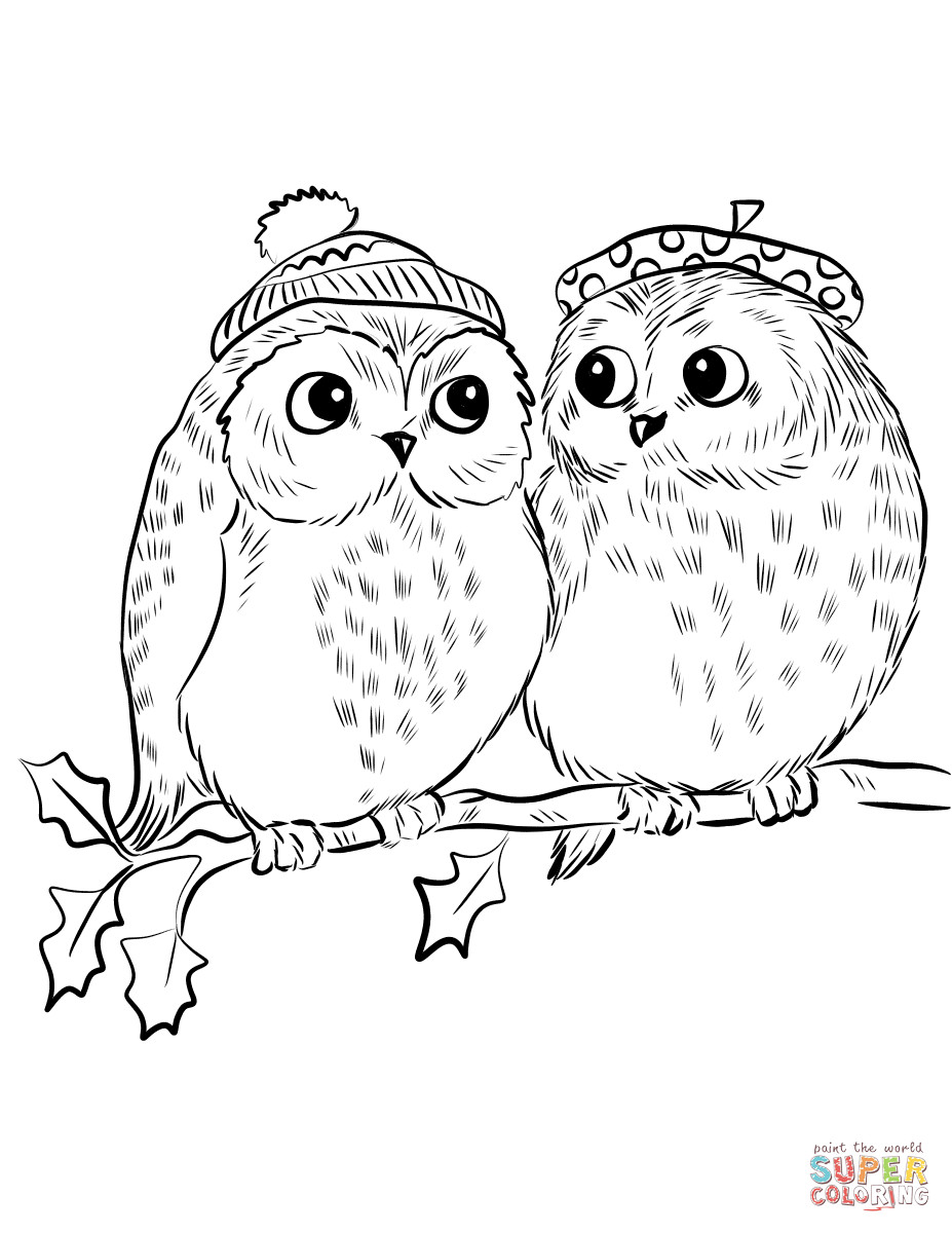 Cute Baby Owl Coloring Pages
 Couple of Cute Owls coloring page