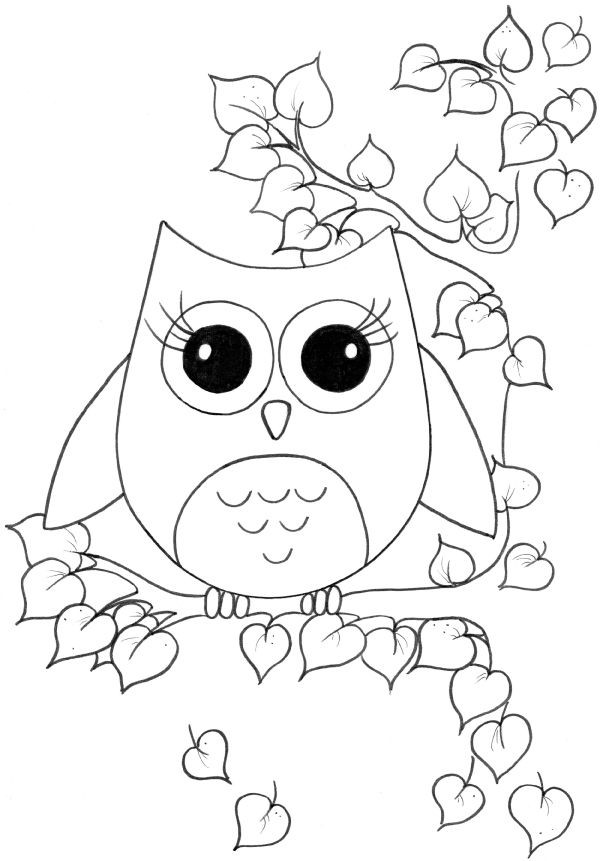 Cute Baby Owl Coloring Pages
 1000 images about OwL on Pinterest