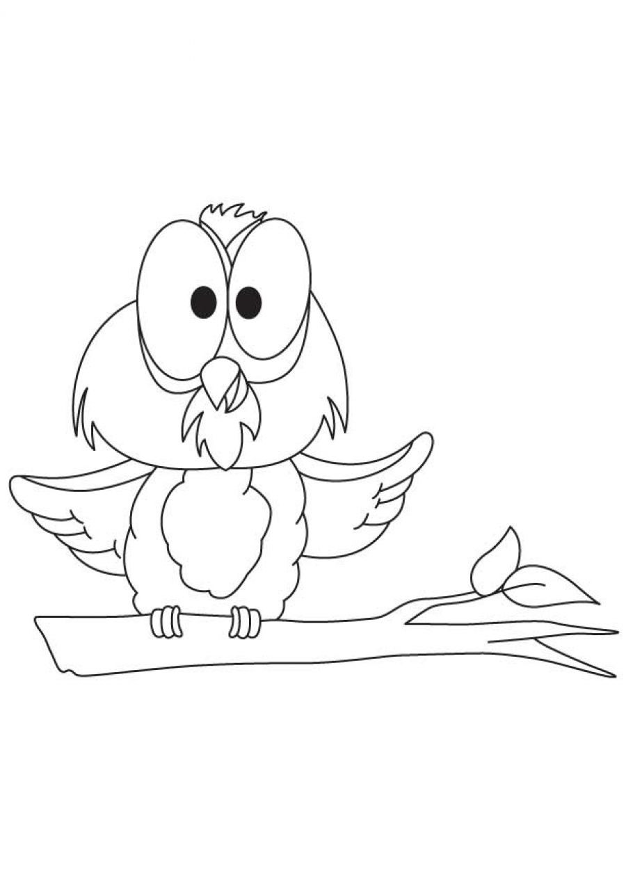 Cute Baby Owl Coloring Pages
 Cute Printable Owl Coloring Pages for Kids