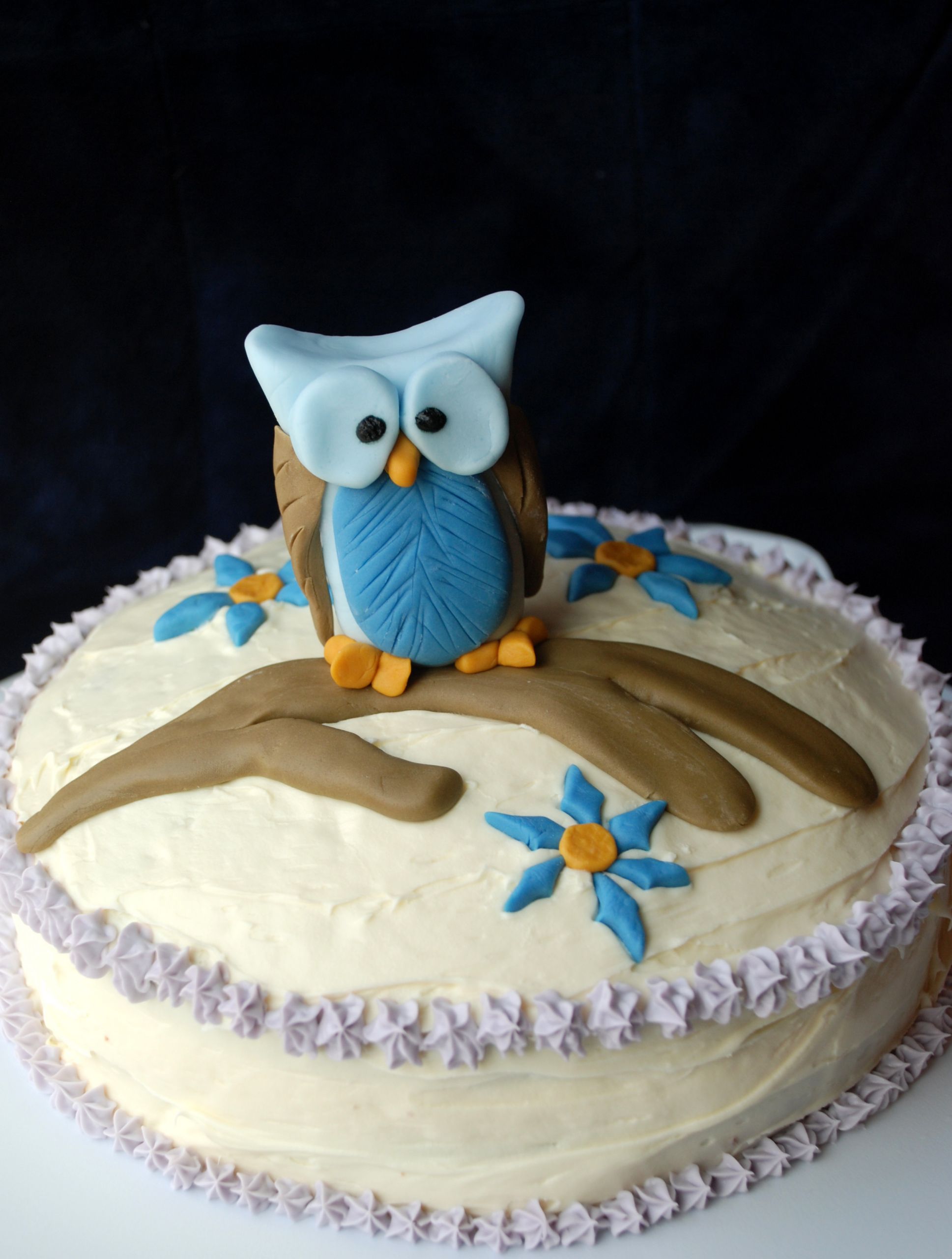 Cute Birthday Cake Ideas
 Owl Cakes – Decoration Ideas
