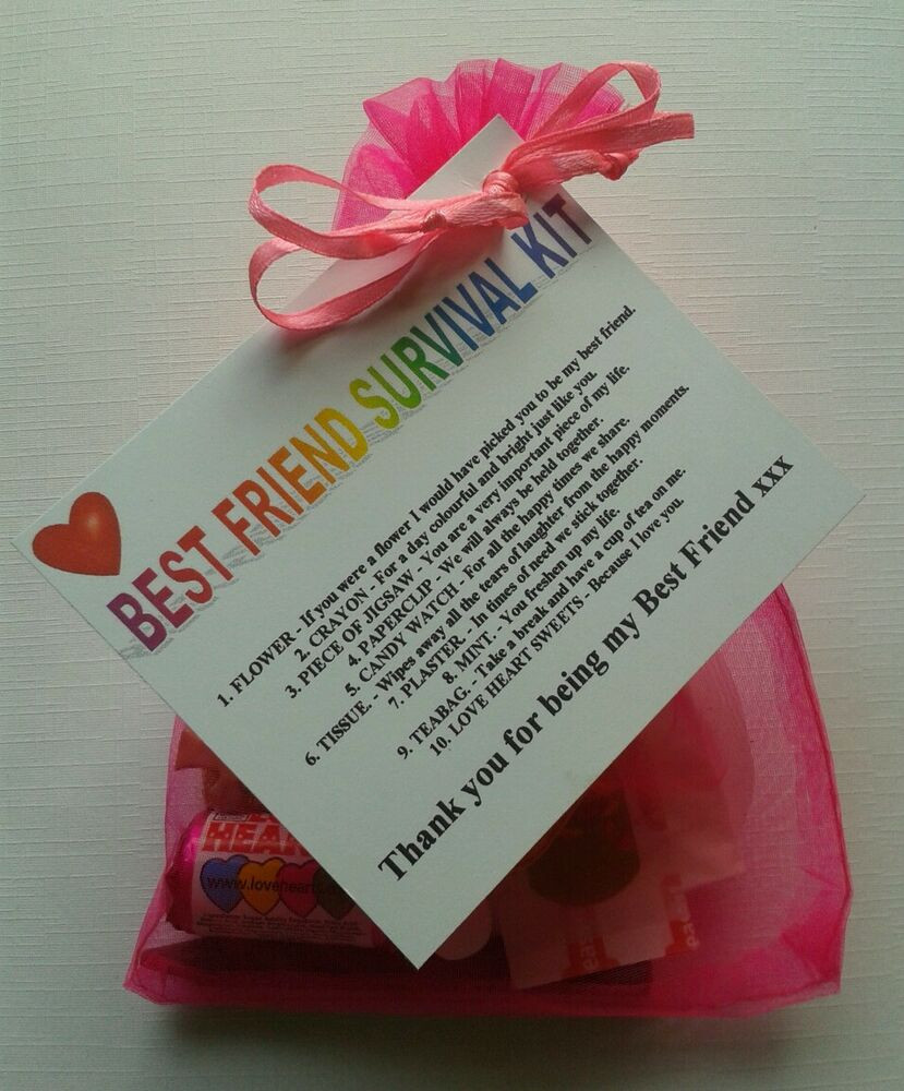 Cute Birthday Gift Ideas For Best Friend
 BEST FRIEND Survival Kit Birthday Keepsake Gift Present
