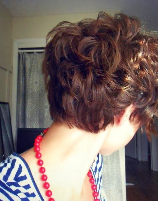 Cute Short Haircuts For Curly Hair
 26 Coolest Hairstyles for School PoPular Haircuts