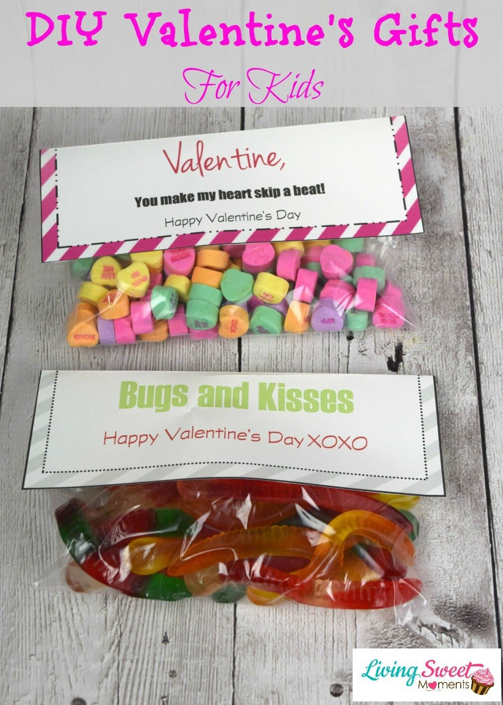 Cute Valentine Gift Ideas For Kids
 DIY Valentine s Gift For Kids