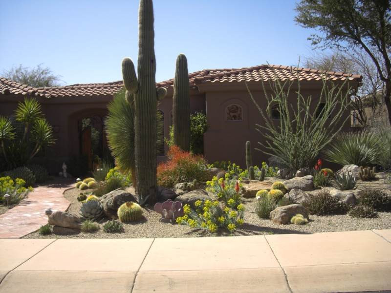 Desert Landscape Front Yards
 Desert Landscaping Ideas Front Yard PDF