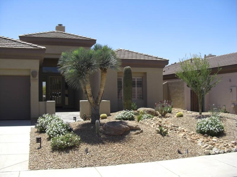 Desert Landscape Front Yards
 Desert Landscaping Ideas