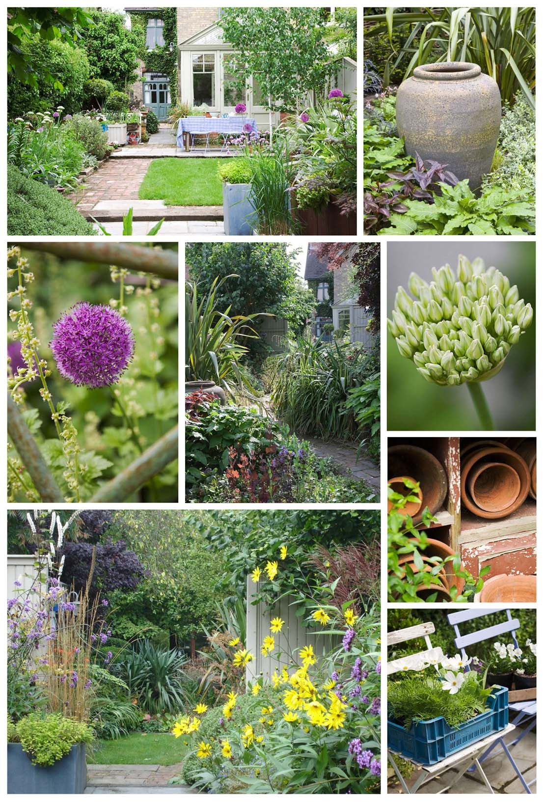 Design My Backyard
 Helen Riches Garden Design And Writing
