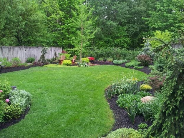 Design My Backyard
 My Garden Lessons Learned