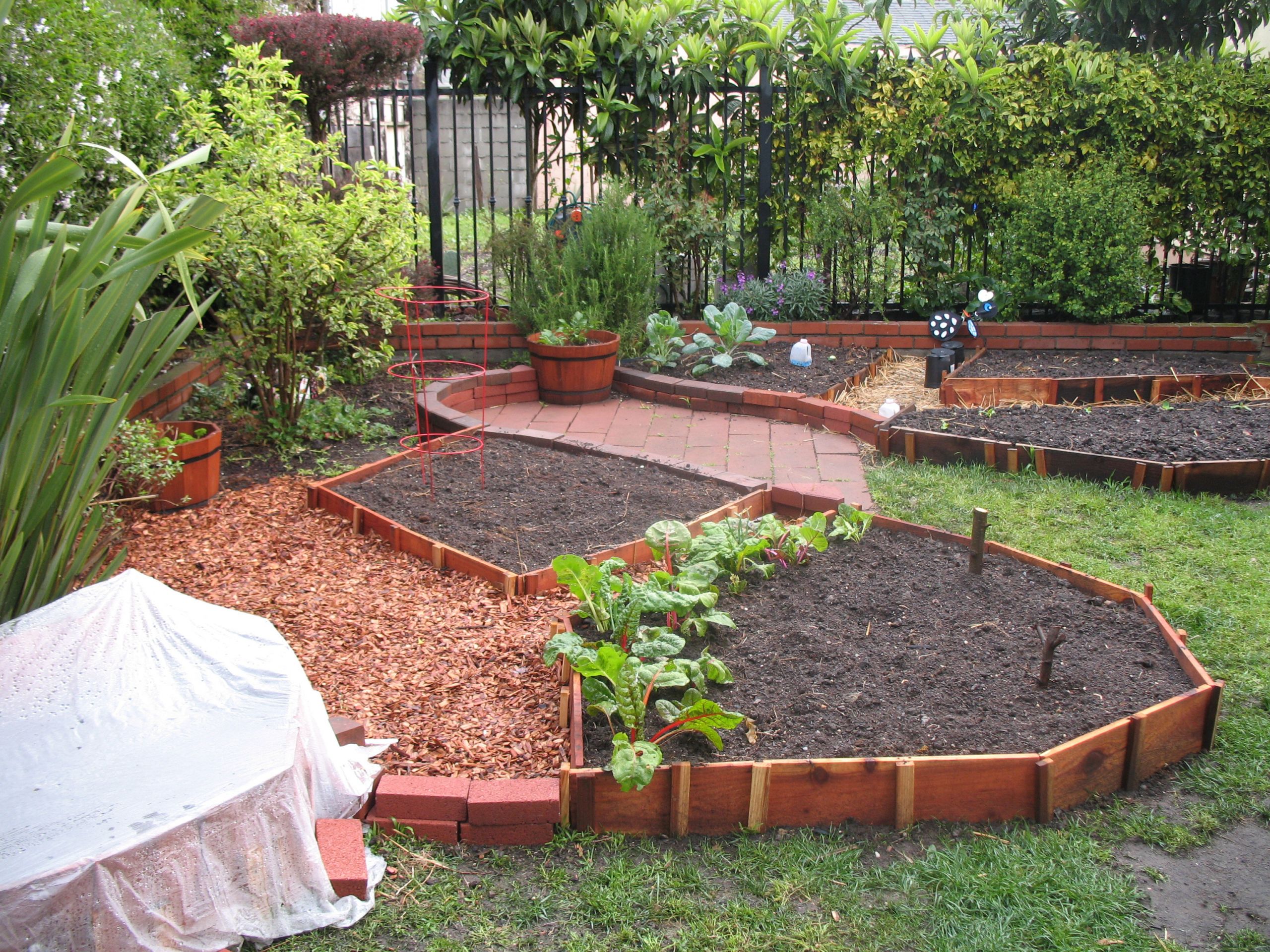 Design My Backyard
 My backyard ve able garden