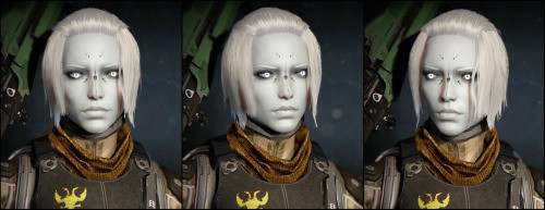 Destiny 2 Human Female Hairstyles From Behind
 female awoken