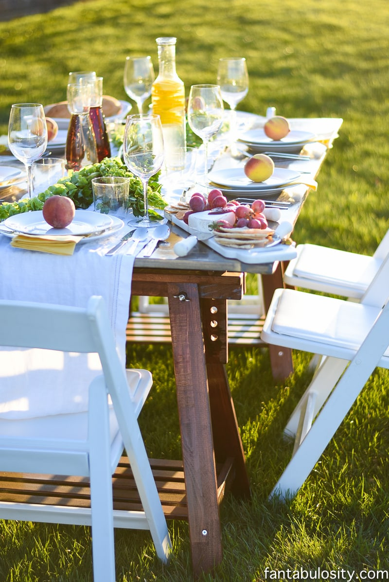 Dinner Party Themes Ideas
 Pop Up Backyard Dinner Party Fantabulosity