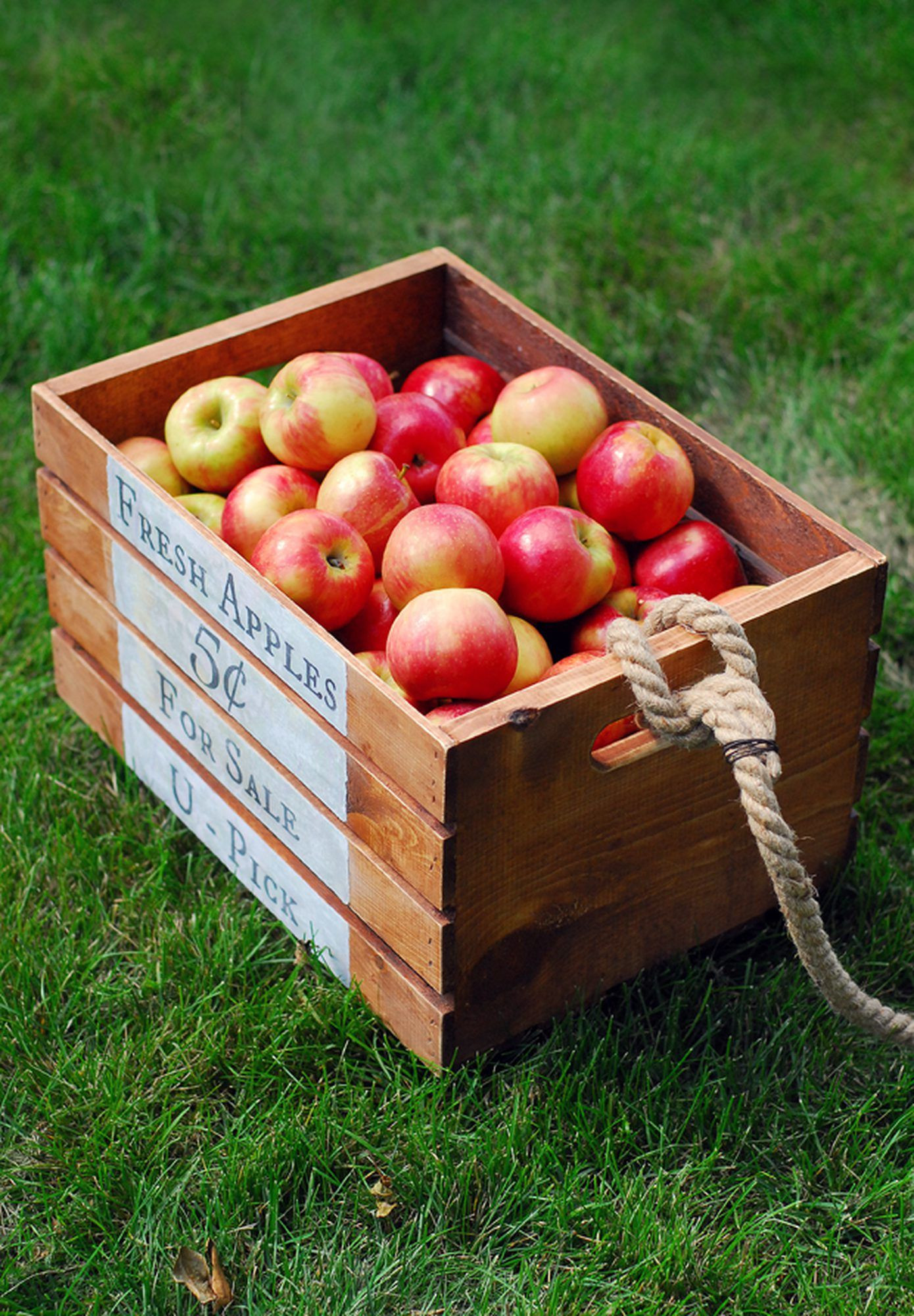 DIY Apple Boxes
 DIY Vintage Apple Crate for Fall
