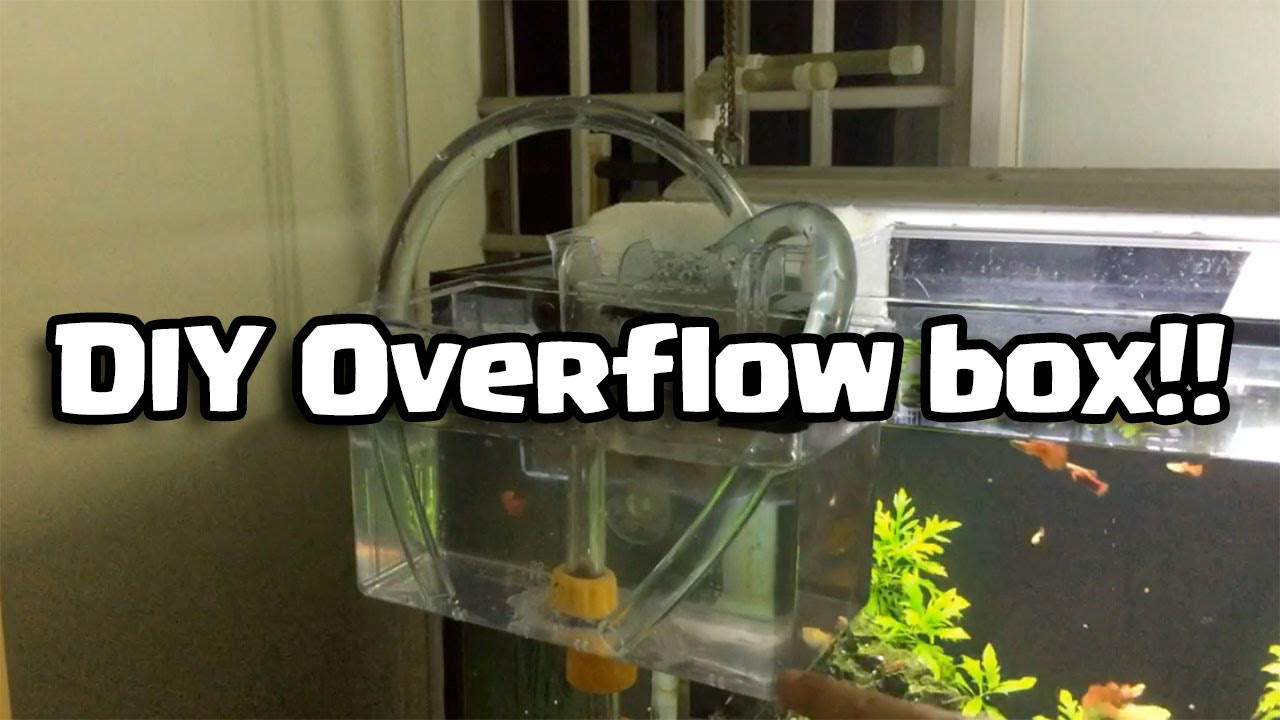 DIY Aquarium Overflow Box
 DIY Overflow box Do it yourself