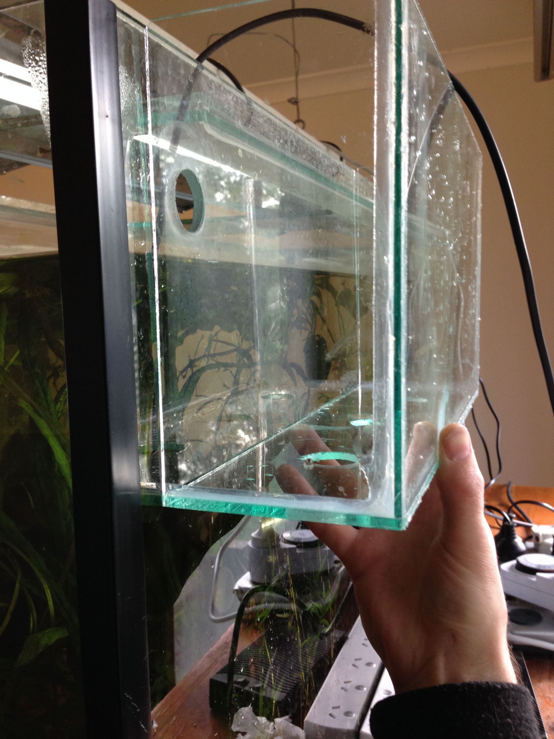 aquarium internal overflow box