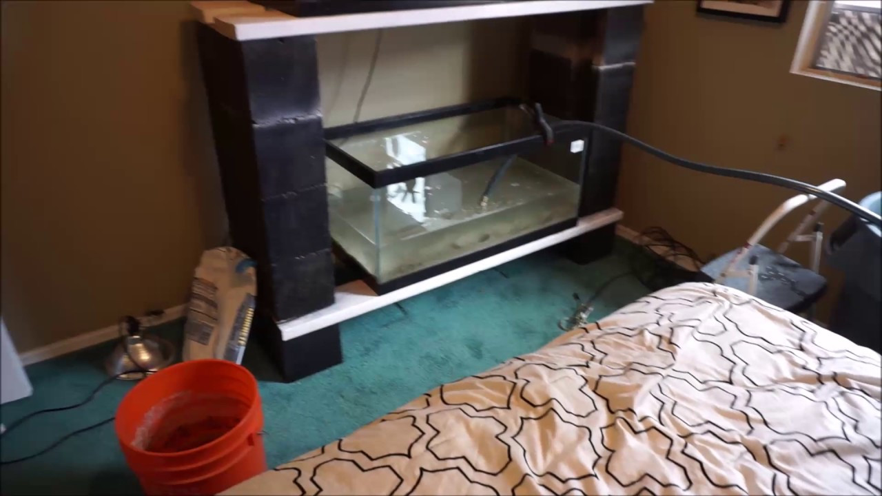 DIY Aquarium Rack
 DIY Cinder Block Aquarium Rack Quick Easy and Cheap