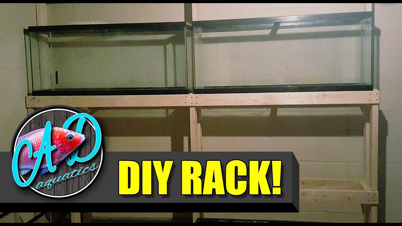 DIY Aquarium Rack
 DIY Aquarium Rack Fishroom 2 0