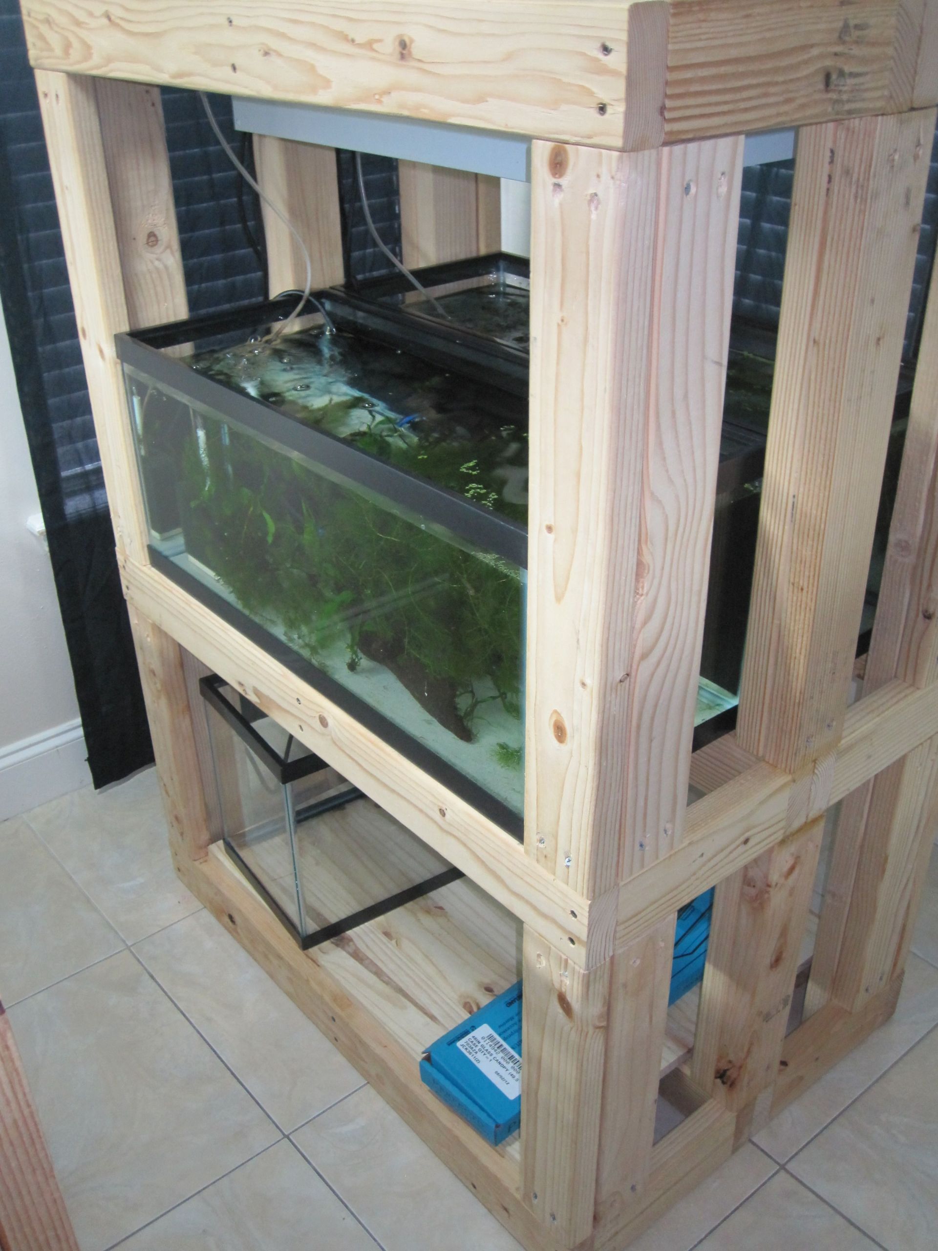 DIY Aquarium Rack
 Diy Multiple Aquarium Rack 1000 Aquarium Ideas