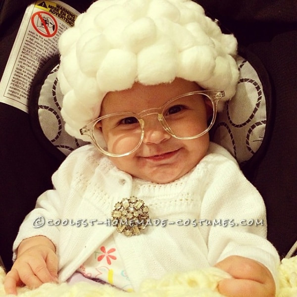 DIY Baby Girl Costume
 10 DIY Baby Costumes You Can t Resist thegoodstuff