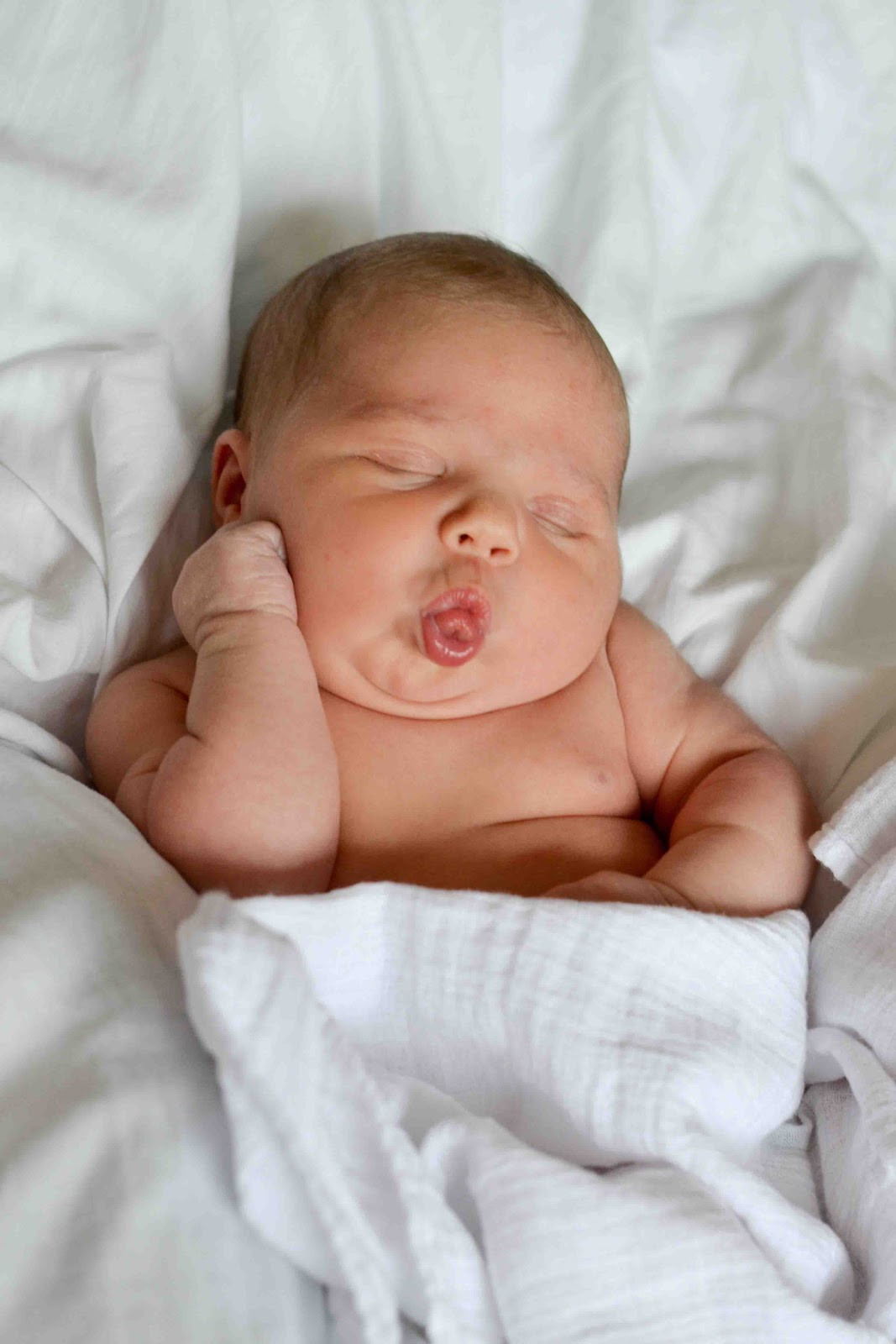 DIY Baby Photoshoot
 Little and Lovely Ella s DIY Newborn Shoot