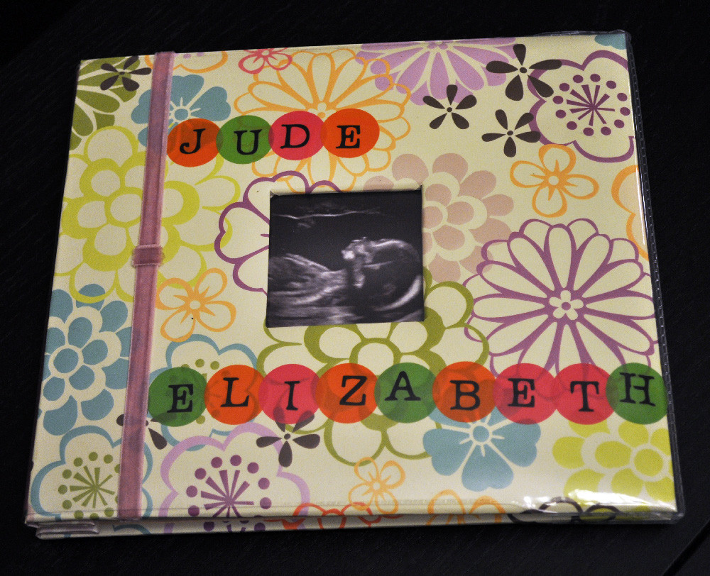 DIY Baby Scrapbook
 passionate fort DIY Baby Book