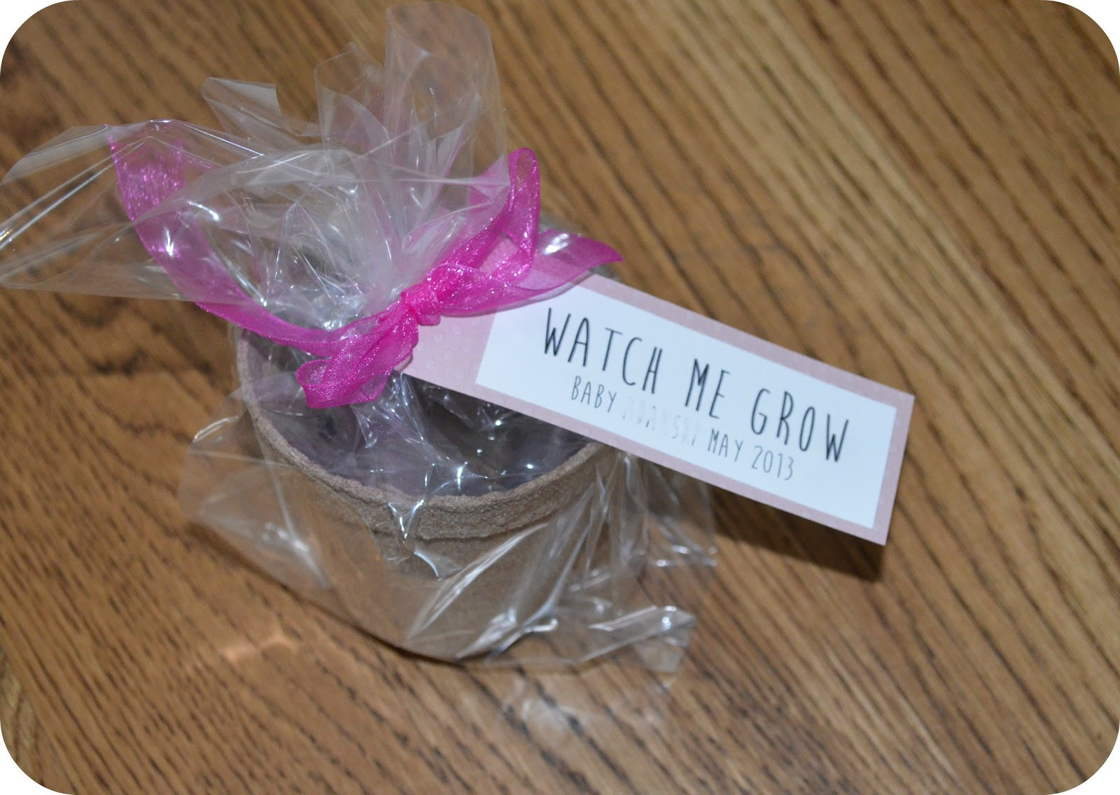 DIY Baby Shower Favor
 Stay Blonde DIY Baby Shower Party Favors on a Bud