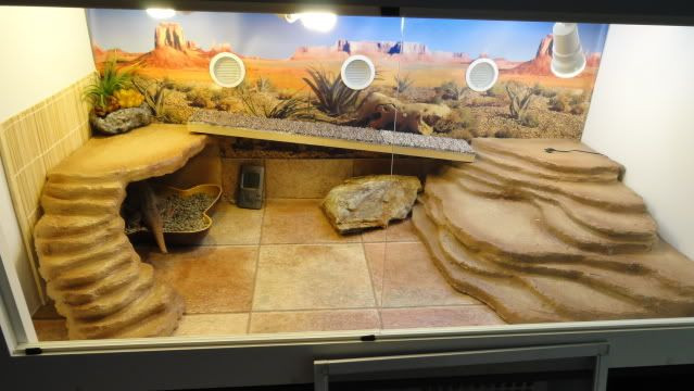 DIY Bearded Dragon Decor
 Ideal and not ideal Substrate and Digging Materials For