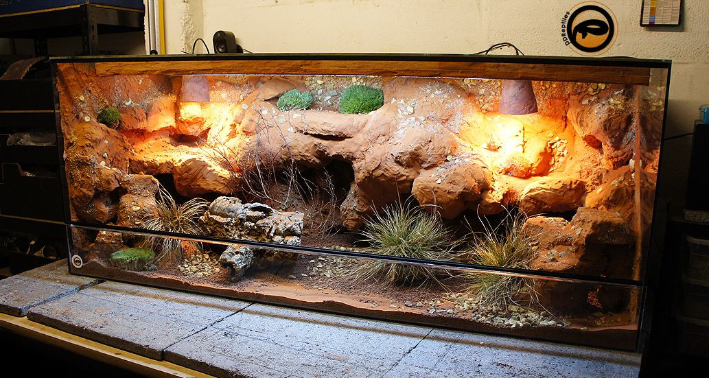 DIY Bearded Dragon Decor
 This bearded dragon cage is awesome …