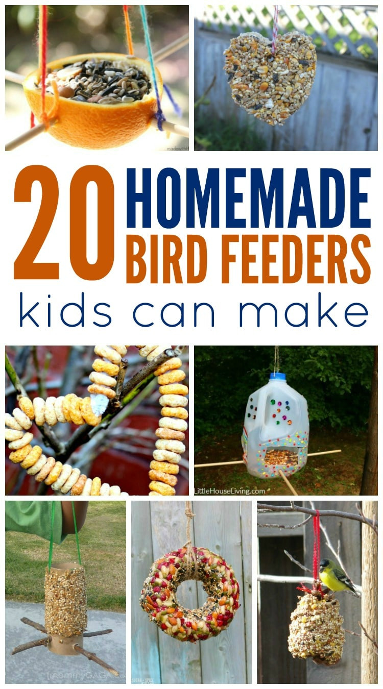 DIY Bird Feeders For Kids
 The BIG List of Homeschool FREEBIES & Deals for 9 25 17