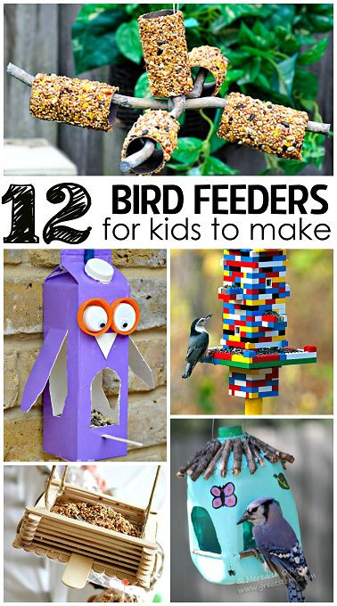 DIY Bird Feeders For Kids
 Diy Bird Feeder For Kids WoodWorking Projects & Plans