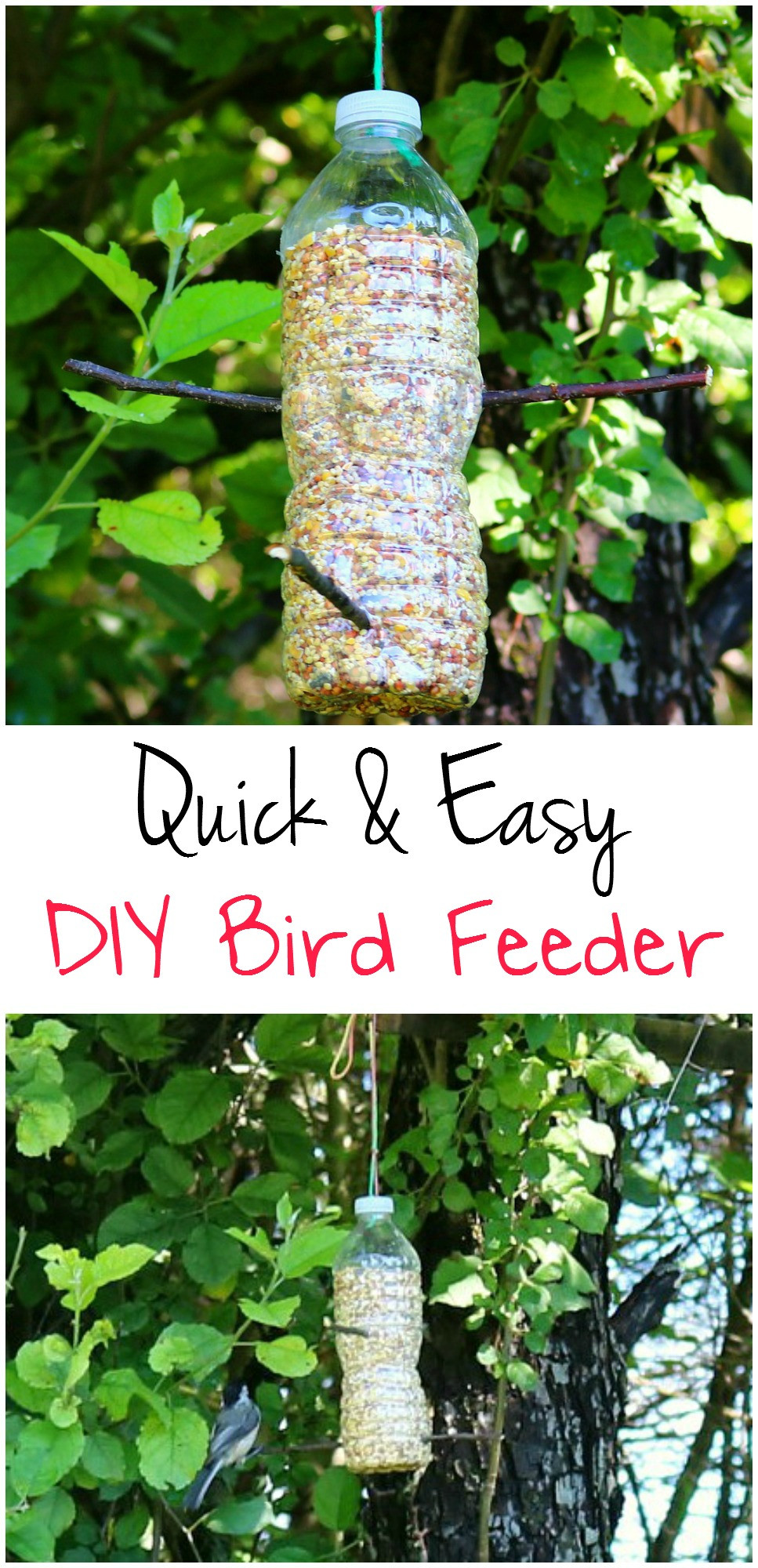 DIY Bird Feeders For Kids
 DIY Bird Feeder Craft The Relaxed Homeschool
