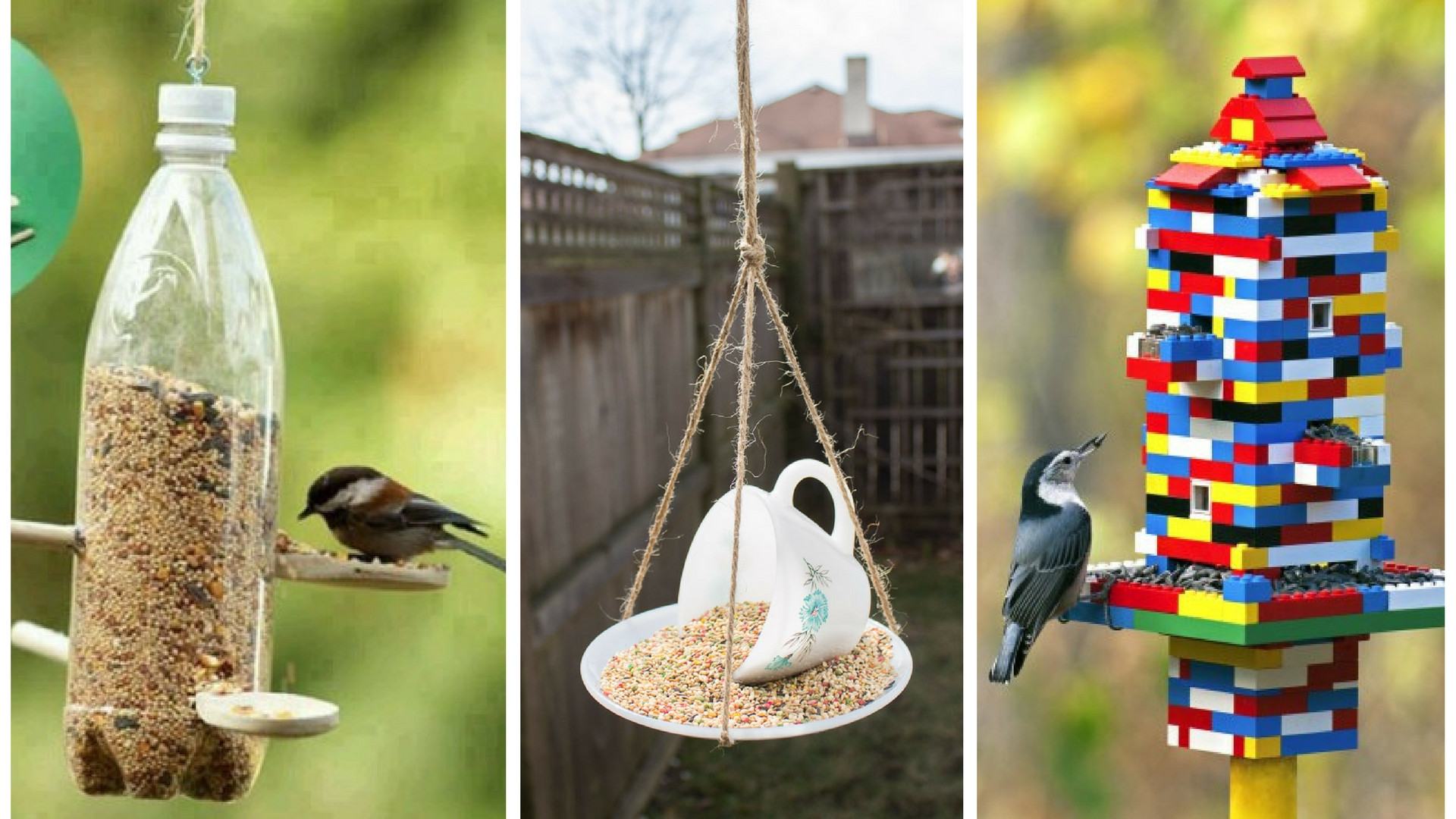 DIY Bird Feeders For Kids
 10 Simple Ways to Make a DIY Bird Feeder The Handy Mano