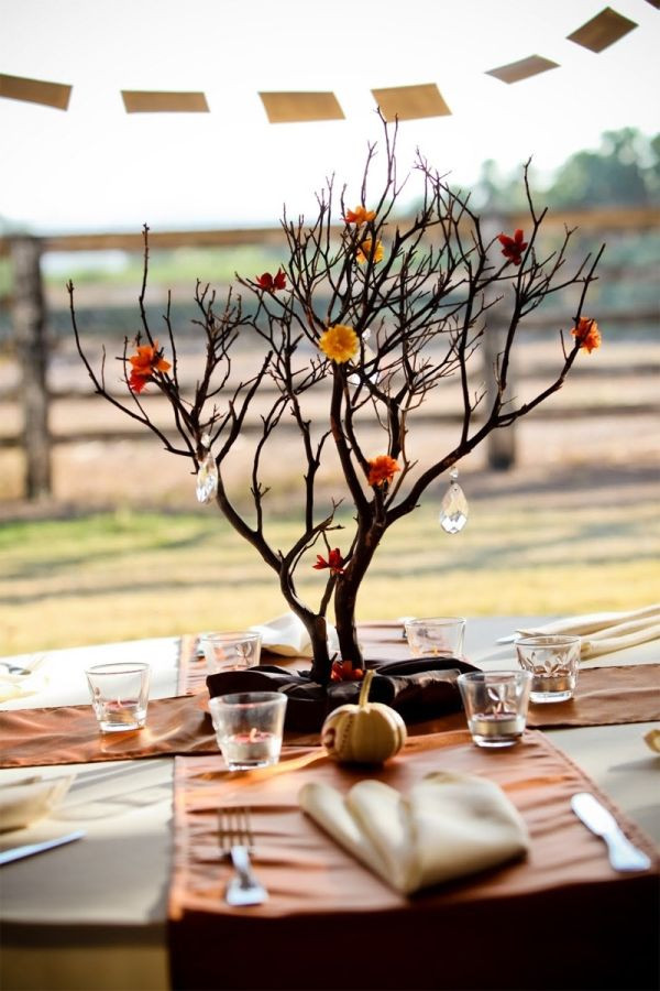 DIY Branch Decor
 How to use branches creatively – 30 DIY projects for your home