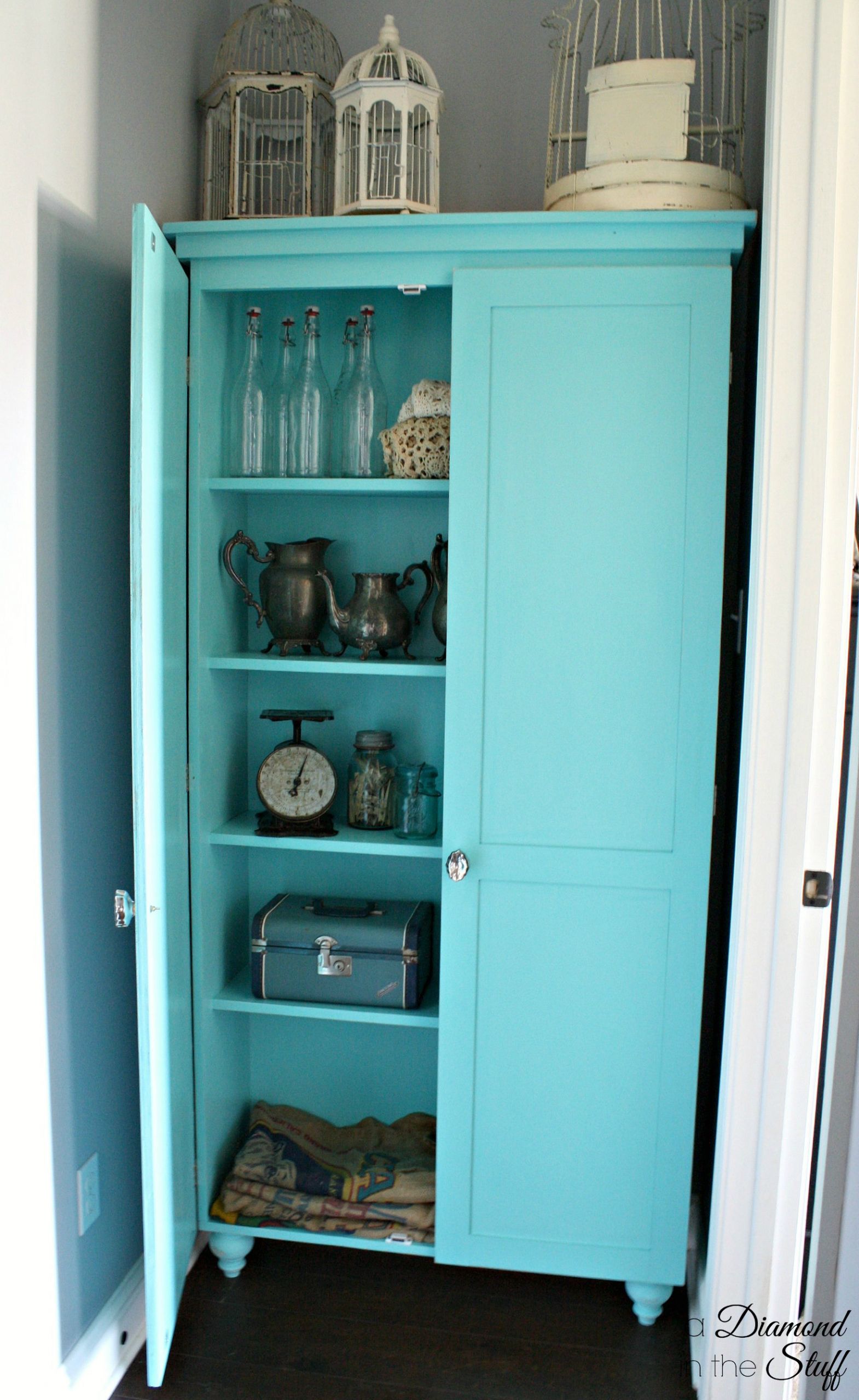 DIY Cabinet Organizer
 DIY Aqua Storage Cabinet