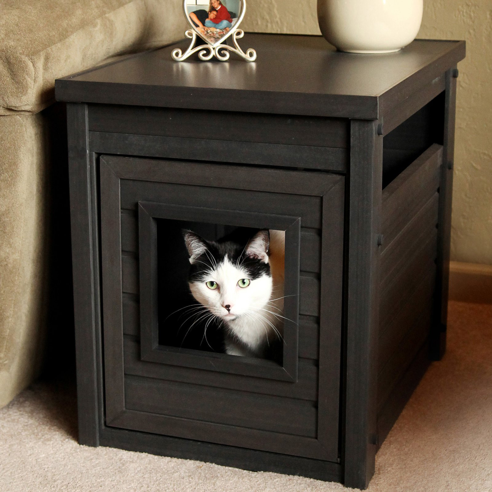 DIY Cat Box
 An Easy DIY Cat Litter Box Ideas – HomesFeed