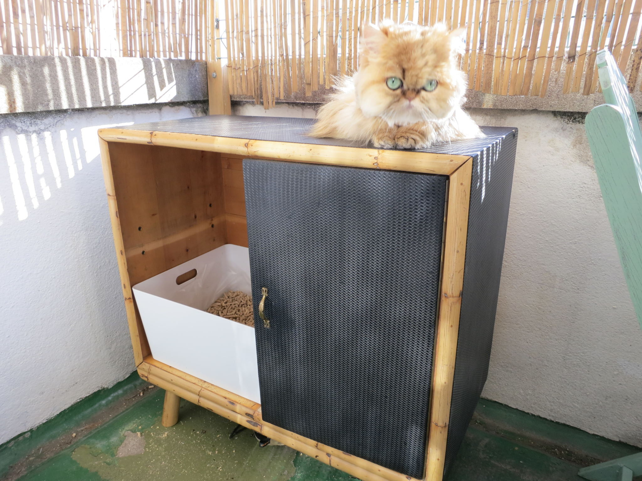 DIY Cat Box
 DIY cat litter box