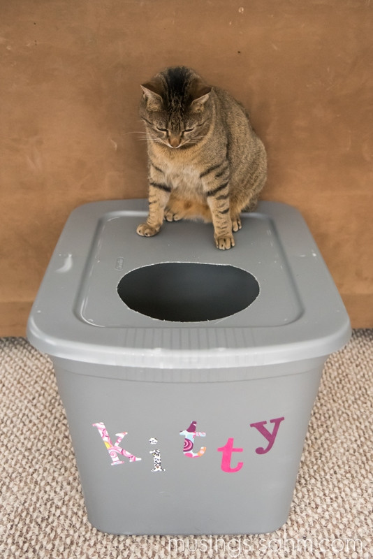 DIY Cat Litter Box
 The Original DIY Mess Free Cat Litter Box Living Well Mom