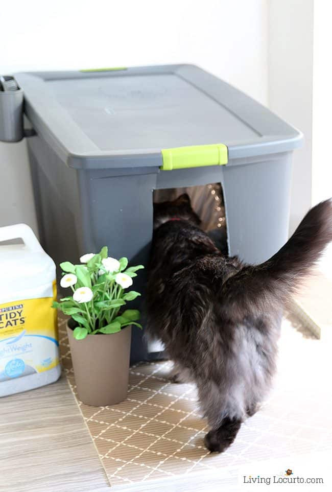 DIY Cat Litter Box
 10 Amazing Ways to Spoil Your Cat Fun Cat Toys Living