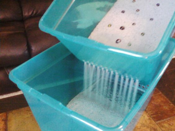 DIY Cat Litter Box
 Smart DIY Options for a Cleaner Litter Box