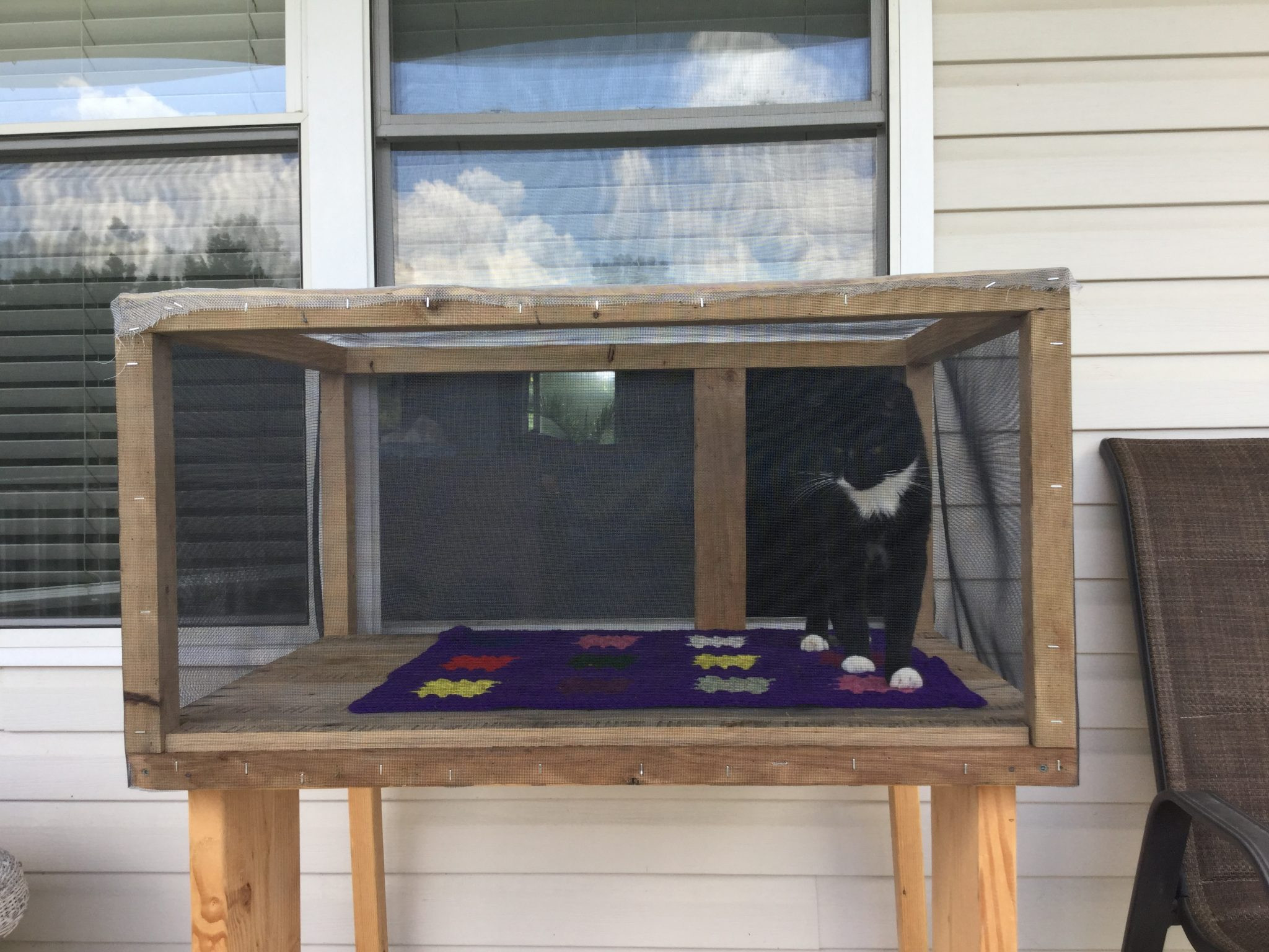 DIY Cat Window Box
 Catio Hacks Every Cat Owner Should Know