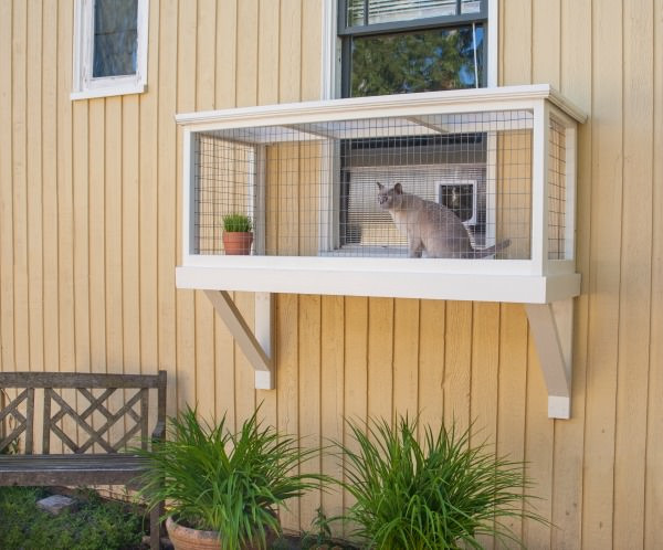 DIY Cat Window Box
 It’s Easy to Build a DIY Catio for Your Cat Catio Spaces