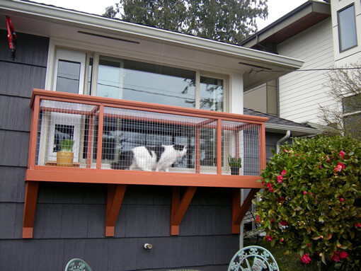 DIY Cat Window Box
 DIY Catio Plan The Window Box™ Catio Plans
