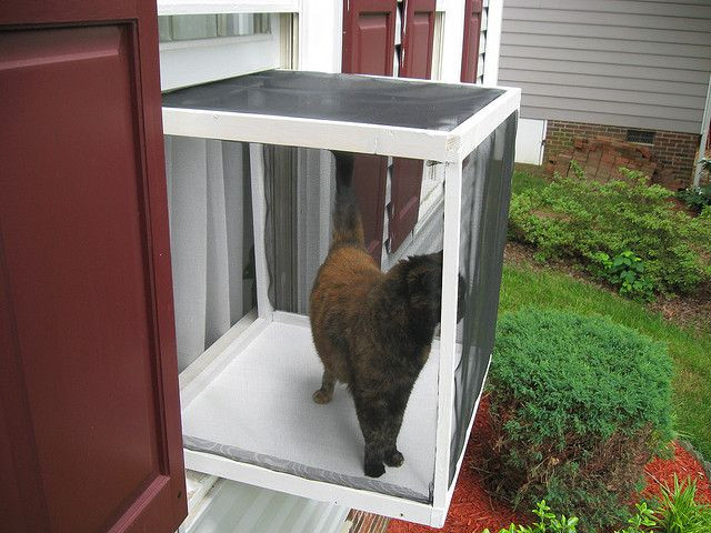 DIY Cat Window Box
 Cat Window Box For the Fur Babies