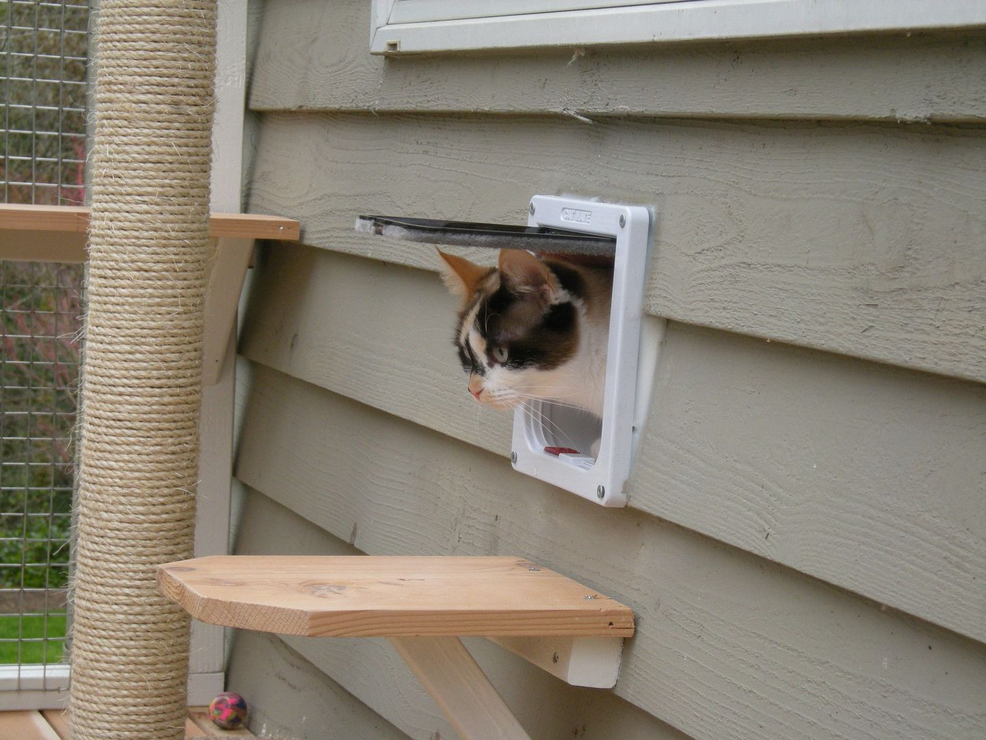 DIY Cat Window Box
 Window Box DIY Catio Plans by Catio Spaces and like OMG